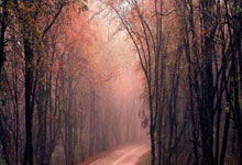 6686体育官网：索默：当我们保持这种状态的时候，对手就很难战胜我们.