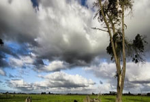 6686体育官网：前国脚：恒大把足球搞臭了？我反对，金元足球挺好的 你们太肤浅.